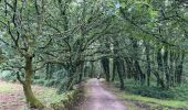 Tour Wandern Oroso - 2024 Camino Ingles 8 - Photo 2