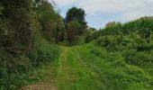 Tocht Stappen Banteux - canal de saint Quentin / Banteux - Vendhuile ( tunnel de Riqueval ). - Photo 19