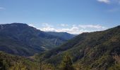 Randonnée Marche Daluis - Gorges du Daluis vu du haut - Photo 1