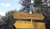 Trail Walking Guillestre - Risoul: Le Villaret   Peyre Haute - Photo 14