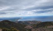 Trail Walking Collioure - Tour Madeloc-Boucle_col-de-Serra_T - Photo 3