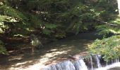 Randonnée Marche Colombières-sur-Orb - Gorges de Colombières 26 10 2019 - Photo 8