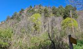 Trail Walking Chambon-sur-Lac - BOUCLE AUTOUR DE LA COUZE DE SURAINS - Photo 2