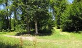 Tour Wandern Oigny-en-Valois - en forêt de Retz_81_vers les étangs de Bourcq et sur le GR11 - Photo 6