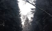 Trail Walking Spa - autour de berinzenne - mousseux - Photo 2