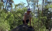 Randonnée Marche Fontainebleau - gorges de Franchard  - Photo 2