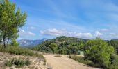 Tour Wandern Ceyreste - Ceyrestes Le vallon du diable - Photo 1