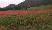 Randonnée Marche Treffort - PF-Treffort - Mayres-Savel - Les Passerelles de Monteynard - Photo 11