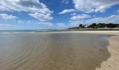 Excursión Carrera Fouesnant - Des dunes à la mer blanche - Photo 8