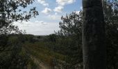 Trail Walking Montbrison-sur-Lez - la viale - Photo 1