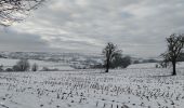 Tour Wandern Aubel - A travers les campagnes d'Aubel  - Photo 13