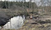 Trail Walking Gouvy - Gouvy 23 km  - Photo 3