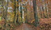 Trail Walking Oud-Heverlee - Zoete Water Meerdael 14,2 km - Photo 10