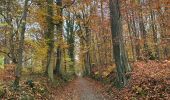 Tocht Stappen Oud-Heverlee - Zoete Water Meerdael 14,2 km - Photo 10