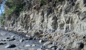 Percorso Marcia Unknown - Plage de Grande Anse Le Lorrain - Photo 15