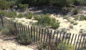 Trail Walking Saint-Cyr-sur-Mer - ,St Cyr la dune et calanque d'alon - Photo 6