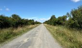 Tocht Hybride fiets Vendays-Montalivet - Montalivet - Queyrac - Phare de Richard - Photo 18