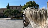Trail Horseback riding Buoux - Provence 2025 J2 - Photo 2