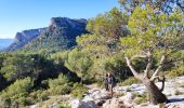 Excursión Senderismo Le Revest-les-Eaux - Stade du Revest - Turcos - Cassini - Retour  - Photo 1