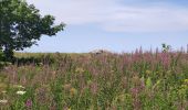 Tour Wandern Autrans-Méaudre en Vercors - la Buffe - Photo 2