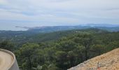 Excursión Senderismo Ollioules - Gros Cerveau - Ollioules - Photo 2