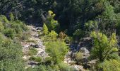 Trail Walking Saint-Paul-en-Forêt - SityTrail - LAC DE MEAULT ?VERSION 15 KMS 340 M - Photo 4