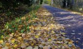 Trail On foot Espoo - Keskuspuiston kuntorata - Photo 4