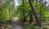 Trail Walking Ormoy-le-Davien - 040522 - Boucle Ormoy le Davien - Moulin de Wallu... - Photo 18