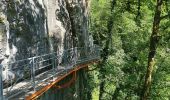 Trail Walking Chavanod - CHAVANOD ... les Gorges du Fier.  - Photo 5