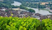 Tour Wandern Joigny - Joigny - Villeneuve sur Yonne et 2/3  - 35 km IBP 97 - Photo 11