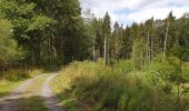 Trail Walking Houyet - Balade à Ciergnon. - Photo 2