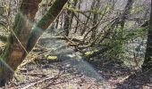 Tour Wandern Lapleau - viaduc rochers noirs - Photo 15