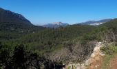 Trail Walking La Valette-du-Var - La Ripelle-24-03-21 - Photo 3