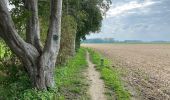 Trail Walking Zoutleeuw - Zoutleeuw 16 km - Photo 9