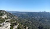 Tour Wandern Solliès-Toucas - Moriéres - Photo 1