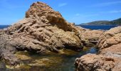 Trail Walking Ramatuelle - Plage de Pampelonne à Plage de L'Escalet - Photo 4