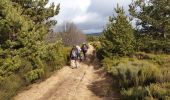Trail Walking Montselgues - Montselgues - Les chaos par les crètes - Photo 9