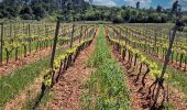 Trail Walking Châteauvert - SityTrail - Valon Sourm- Vallon des Baumes - Photo 15