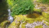Tour Wandern Villers-le-Lac - Le Pisoux - Photo 17