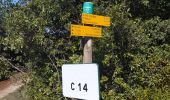 Tour Wandern Aspères - aspere - Photo 13