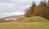 Percorso A piedi Litzendorf - Wanderweg Hügelgräber - Sängerehrenmal - Photo 1