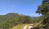 Percorso Mountainbike Aspres-sur-Buëch - Gorges de l'Agnielle - Photo 1