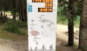 Trail On foot Toblach - Dobbiaco - IT-14 - Photo 10