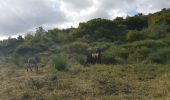 Randonnée Marche Olmet-et-Villecun - Les Défriches - Photo 2