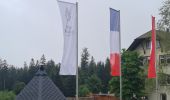 Trail Walking Bad Peterstal-Griesbach - Buhlbachsee & Lotharpfad - Photo 1