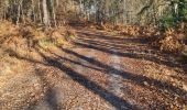 Trail Nordic walking Cestas -  Reco Pinoche 22/12/2021 - Photo 11