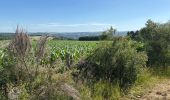 Trail Walking Hotton - Ménil Favay - Photo 11