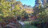 Randonnée Marche Fontainebleau - T1-Grotte Beatrix  - Photo 10