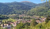 Tocht Stappen Metzeral - Petit-Ballon via Col du Hilsenfirst - Photo 6