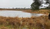 Tocht Stappen Kalmthout - Kalmthout 20 km - Photo 3